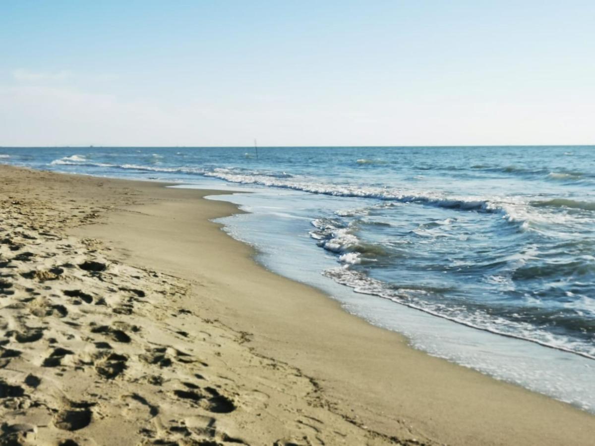 Appartamento In Villa A Tirrenia, Eleganza E Comfort A Pochi Passi Dal Mare Πίζα Εξωτερικό φωτογραφία